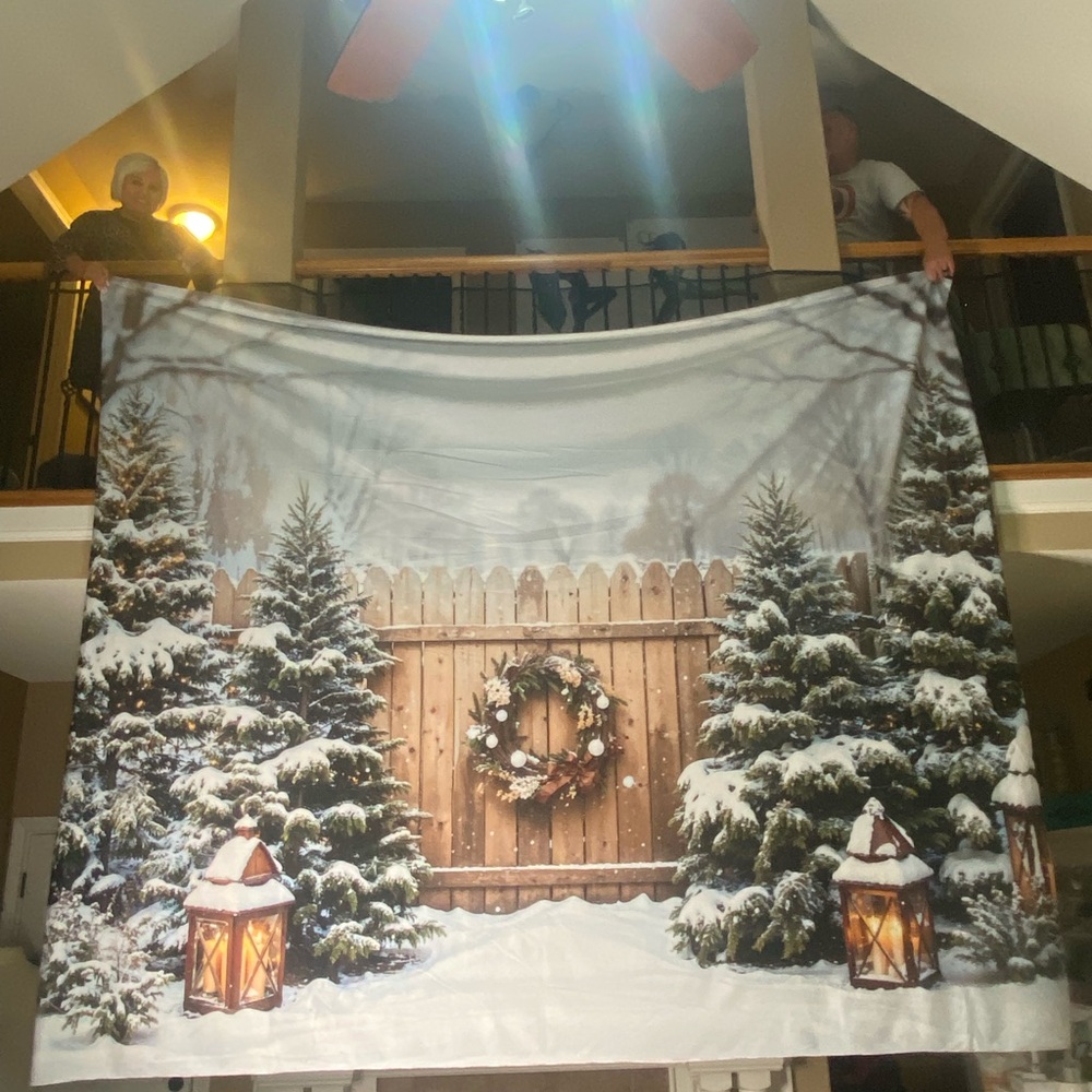 Winter Wonderland Holiday pro backdrop